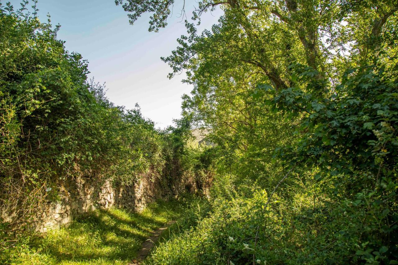 Casa Rural El Huerto De La Fragua Vendégház Enciso Kültér fotó