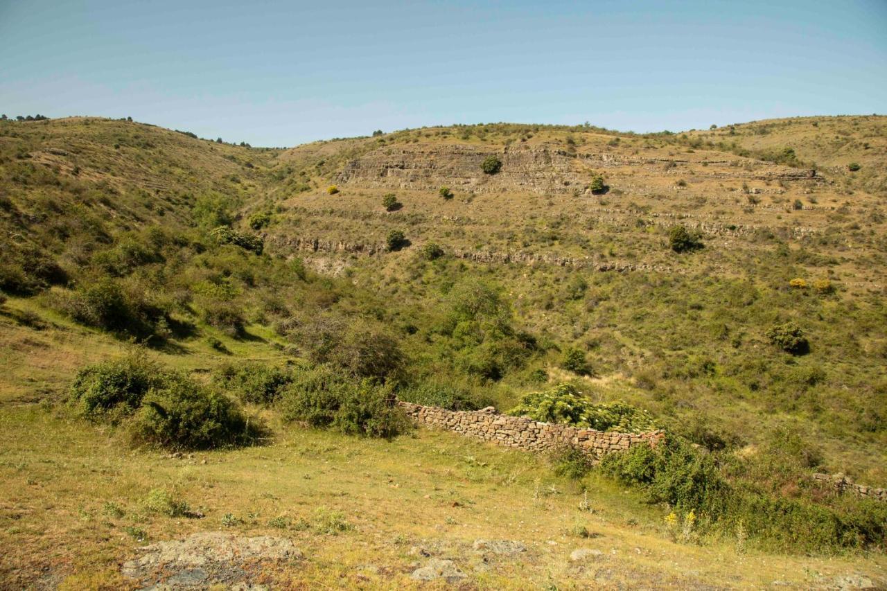 Casa Rural El Huerto De La Fragua Vendégház Enciso Kültér fotó